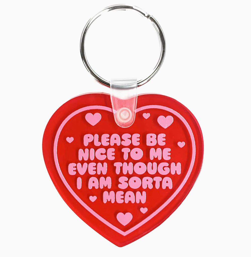 Please Be Nice To Me Heart Shaped Vinyl Keychain|1410