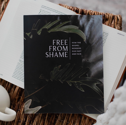 Free From Shame: How the Gospel Redeems Our Past and Pain|1282