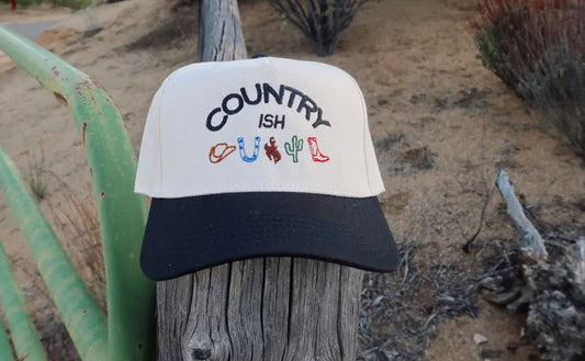 Country-ish embroidered hat|577