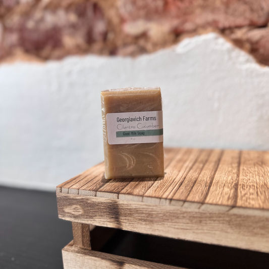 Cilantro Cucumber Goat Milk Soap|946