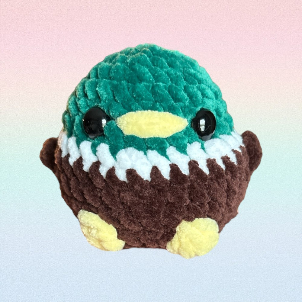 Mallard Duck|1624