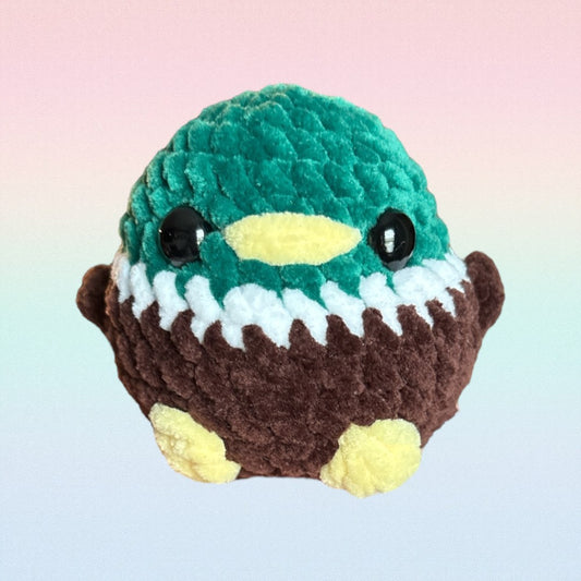 Mallard Duck|1624