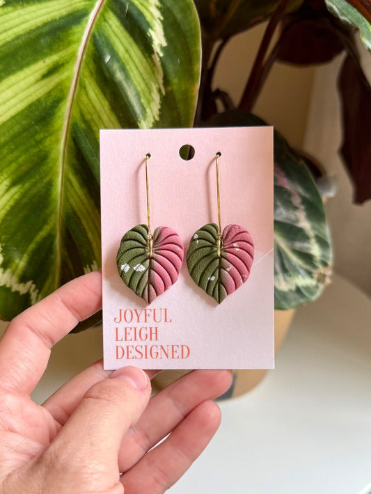 Pink and Green Philodendron Drops|412