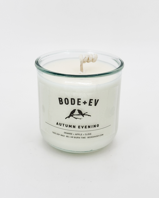 Autumn Evening: Orange + Apple + Clove|1753