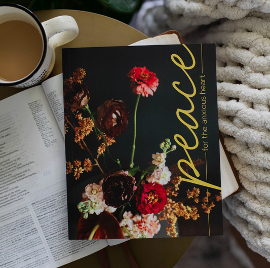 Peace For the Anxious Heart Bible Study|1288